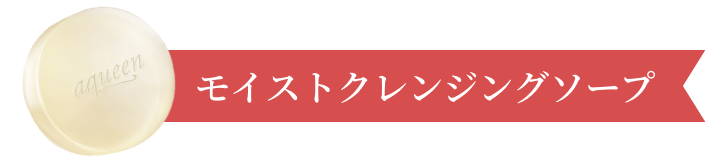 モイストクレンジングソープ